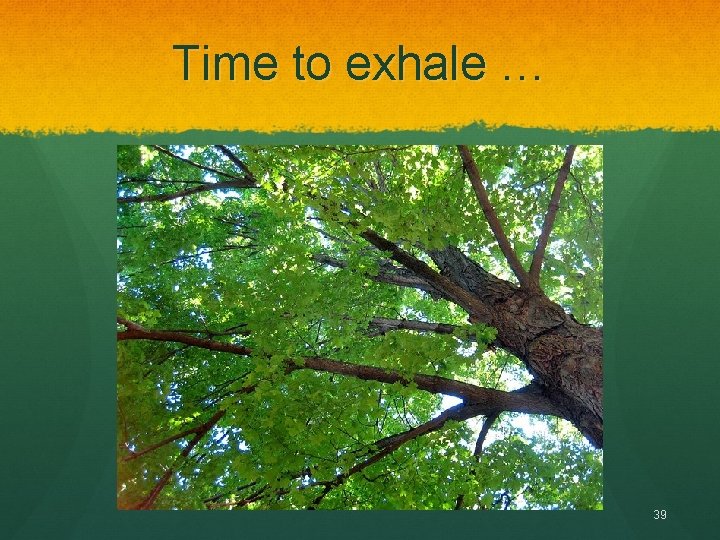 Time to exhale … 39 