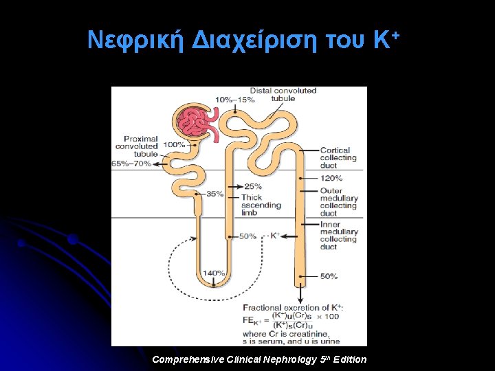 Νεφρική Διαχείριση του Κ+ Comprehensive Clinical Nephrology 5 th Edition 