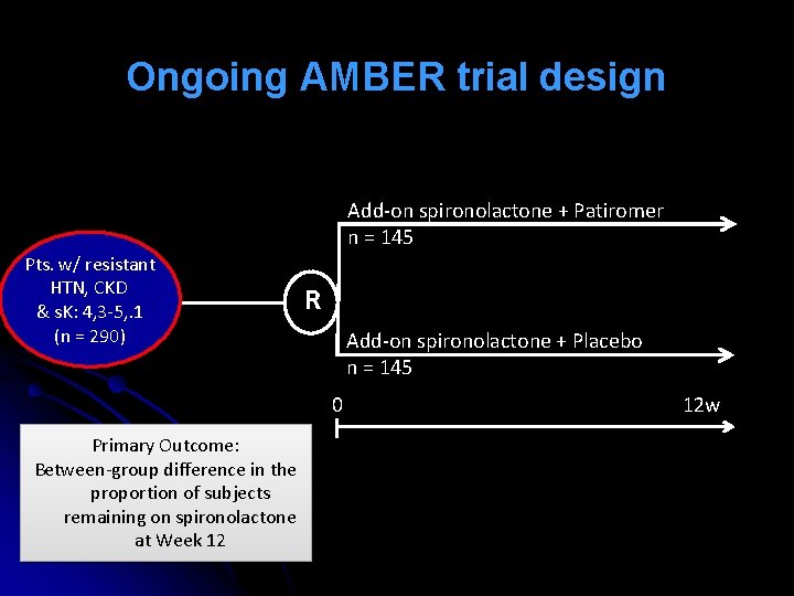 Ongoing AMBER trial design DBRCT: 311 sites, 16 countries Add-on spironolactone + Patiromer n