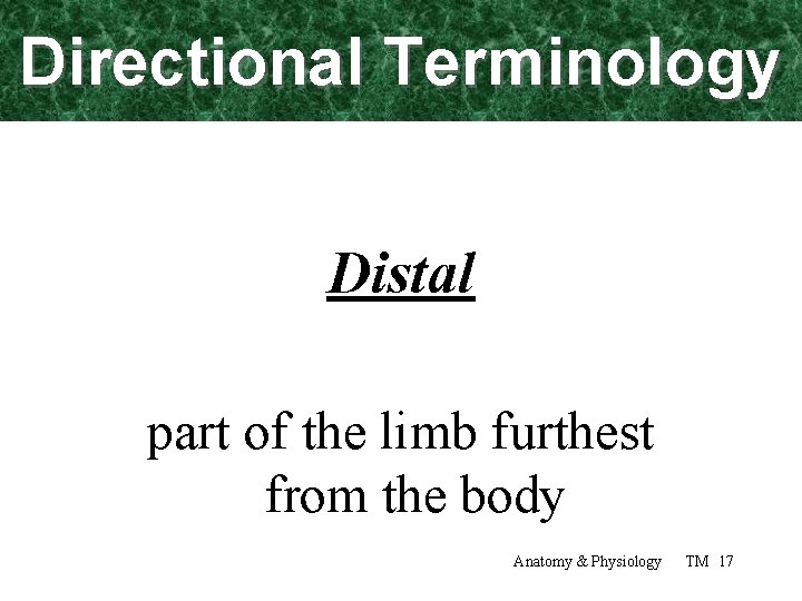 Directional Terminology Distal part of the limb furthest from the body Anatomy & Physiology