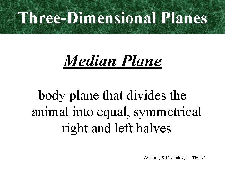 Three-Dimensional Planes Median Plane body plane that divides the animal into equal, symmetrical right