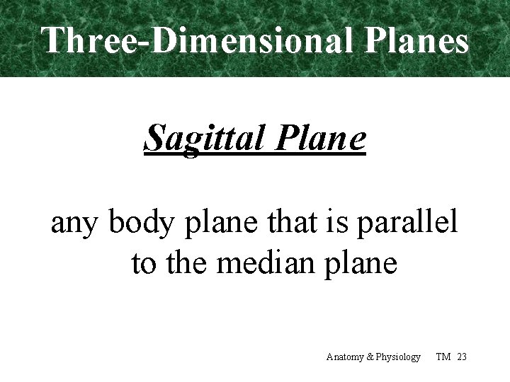 Three-Dimensional Planes Sagittal Plane any body plane that is parallel to the median plane