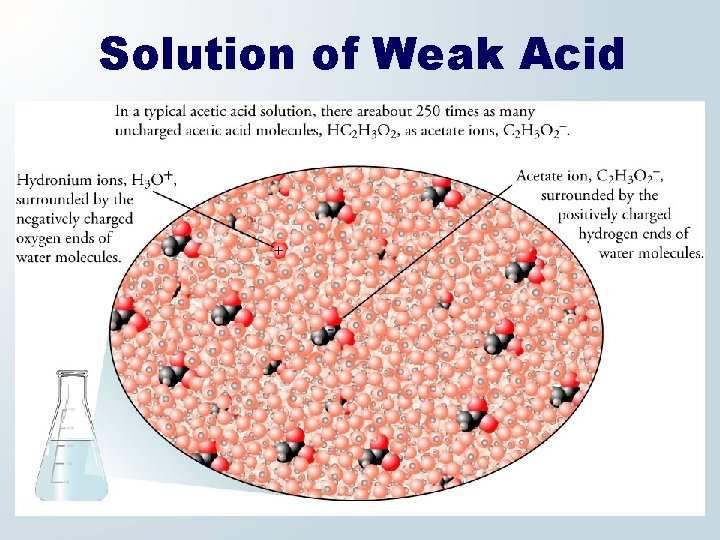 Solution of Weak Acid 