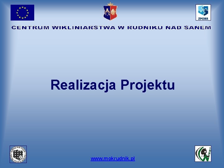 Realizacja Projektu www. mokrudnik. pl 