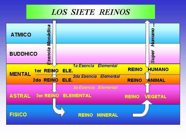 BUDDHICO MENTAL 1 a Esencia Elemental 1 er REINO ELE. 2 do REINO ELE.