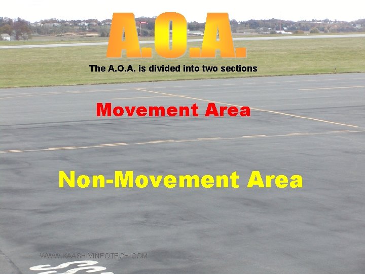 The A. O. A. is divided into two sections Movement Area Non-Movement Area WWW.