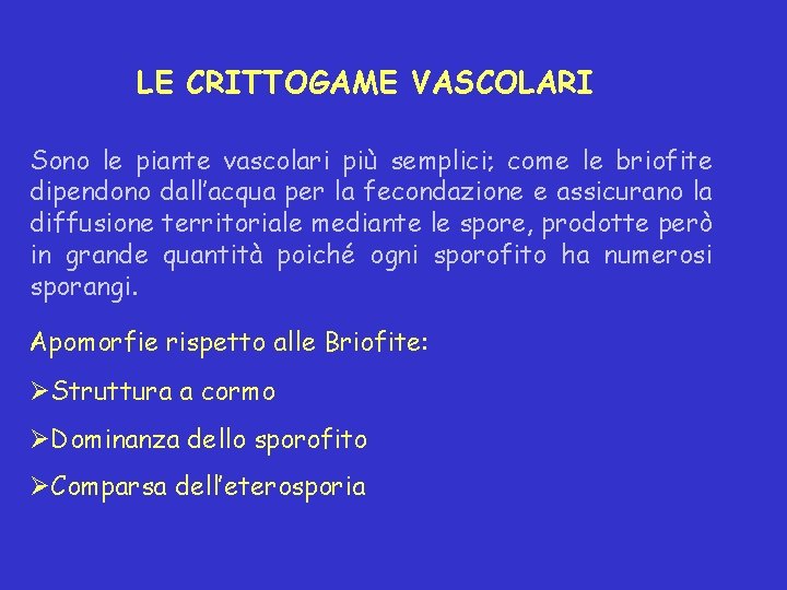 LE CRITTOGAME VASCOLARI Sono le piante vascolari più semplici; come le briofite dipendono dall’acqua LE CRITTOGAME VASCOLARI Sono le piante vascolari più semplici; come le briofite dipendono dall’acqua