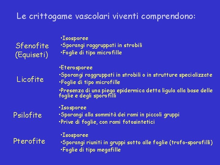Le crittogame vascolari viventi comprendono: Sfenofite (Equiseti) Licofite Psilofite Pterofite • Isosporee • Sporangi Le crittogame vascolari viventi comprendono: Sfenofite (Equiseti) Licofite Psilofite Pterofite • Isosporee • Sporangi