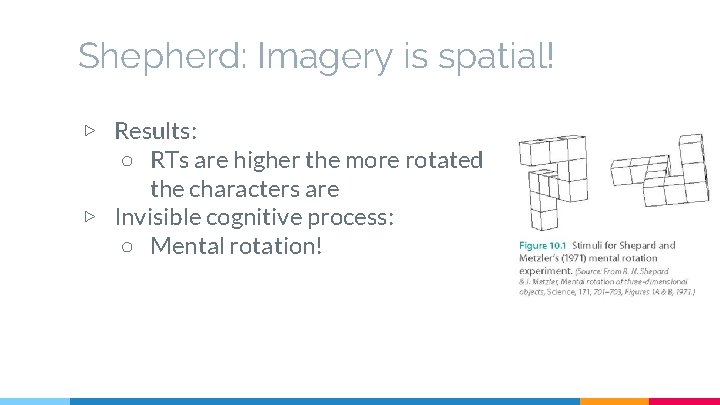 Shepherd: Imagery is spatial! ▷ Results: ○ RTs are higher the more rotated the