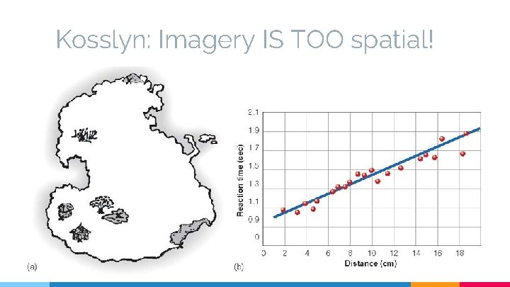 Kosslyn: Imagery IS TOO spatial! 