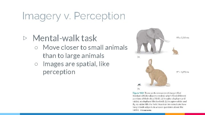 Imagery v. Perception ▷ Mental-walk task ○ Move closer to small animals than to