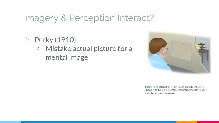 Imagery & Perception Interact? ▷ Perky (1910) ○ Mistake actual picture for a mental