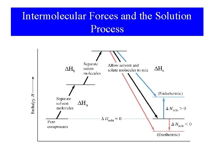 Intermolecular Forces and the Solution Process ΔHc ΔHb ΔHa 