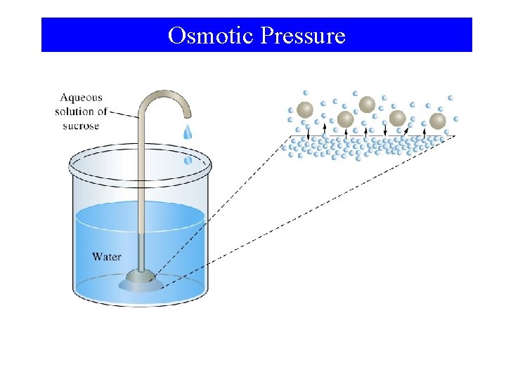 Osmotic Pressure 