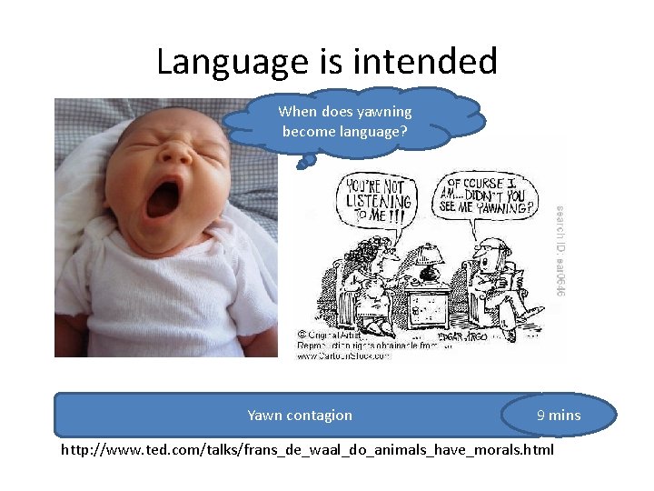 Language is intended When does yawning become language? Yawn contagion 9 mins http: //www.