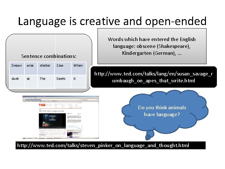 Language is creative and open-ended Sentence combinations: Snows wise shelter Cow When dusk at