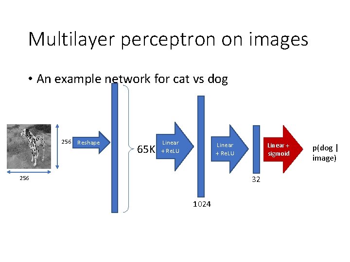 Multilayer perceptron on images • An example network for cat vs dog 256 Reshape Multilayer perceptron on images • An example network for cat vs dog 256 Reshape