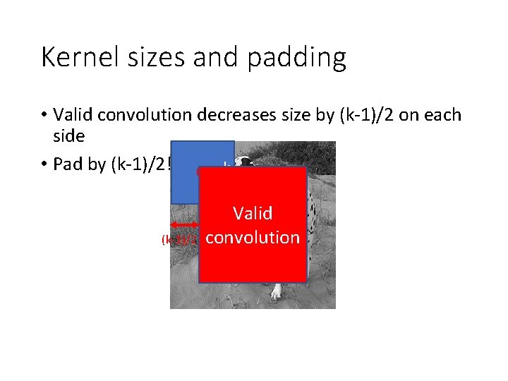 Kernel sizes and padding • Valid convolution decreases size by (k-1)/2 on each side Kernel sizes and padding • Valid convolution decreases size by (k-1)/2 on each side