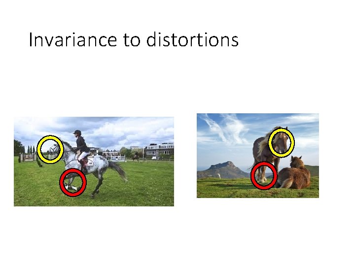 Invariance to distortions Invariance to distortions