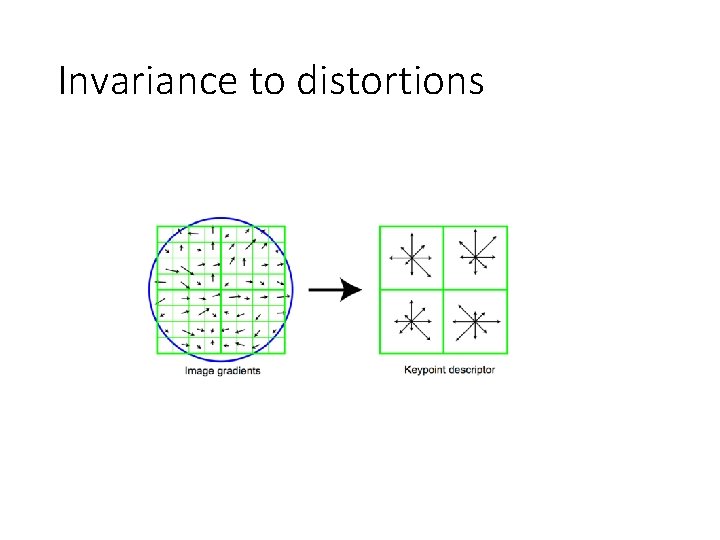 Invariance to distortions Invariance to distortions