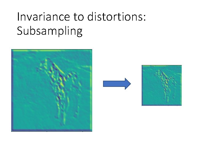 Invariance to distortions: Subsampling Invariance to distortions: Subsampling