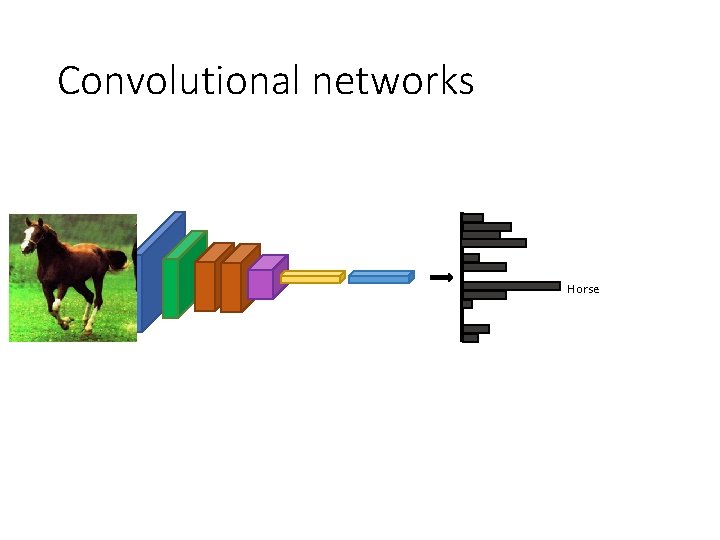 Convolutional networks Horse Convolutional networks Horse