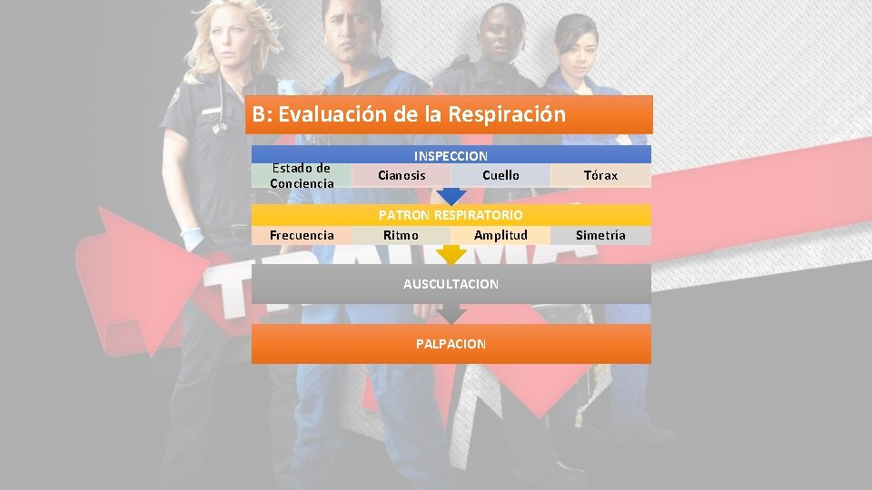 B: Evaluación de la Respiración Estado de Conciencia Frecuencia INSPECCION Cianosis Cuello PATRON RESPIRATORIO