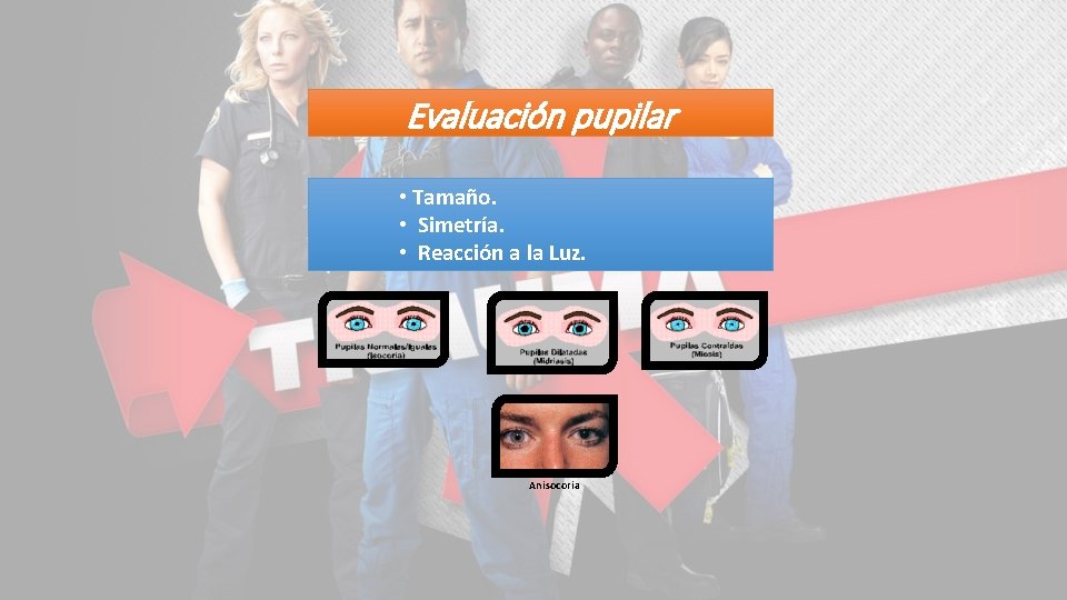Evaluación pupilar • Tamaño. • Simetría. • Reacción a la Luz. Anisocoria 
