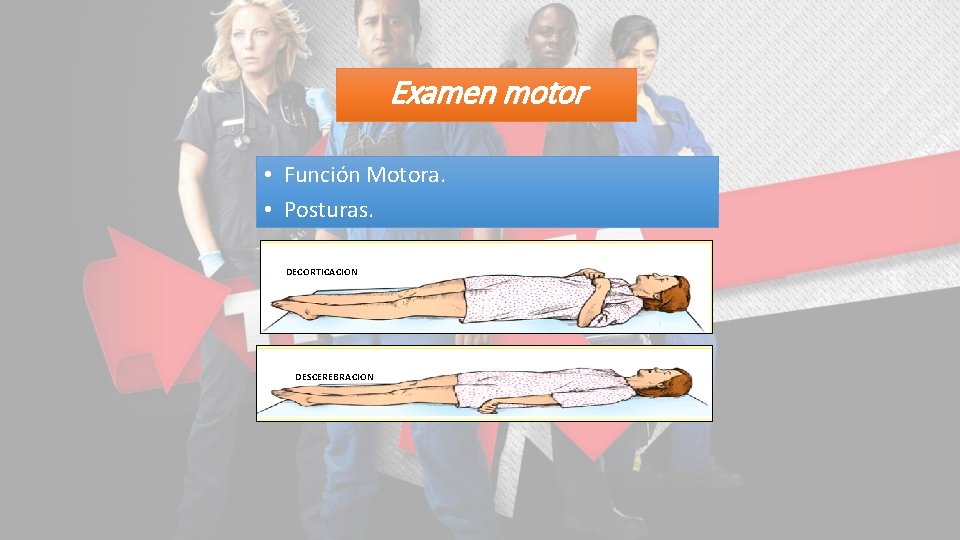 Examen motor • Función Motora. • Posturas. DECORTICACION DESCEREBRACION 
