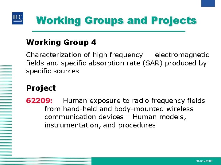Working Groups and Projects Working Group 4 Characterization of high frequency electromagnetic fields and
