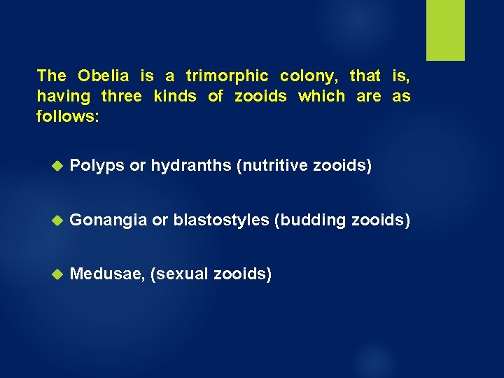 The Obelia is a trimorphic colony, that is, having three kinds of zooids which The Obelia is a trimorphic colony, that is, having three kinds of zooids which