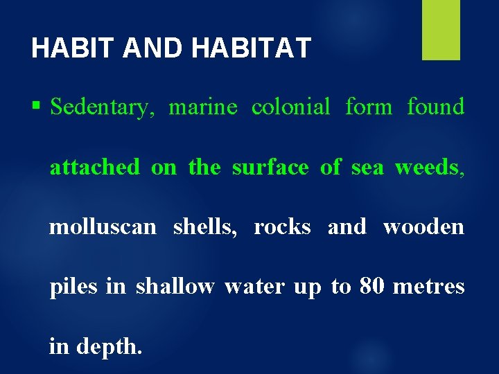 HABIT AND HABITAT § Sedentary, marine colonial form found attached on the surface of HABIT AND HABITAT § Sedentary, marine colonial form found attached on the surface of