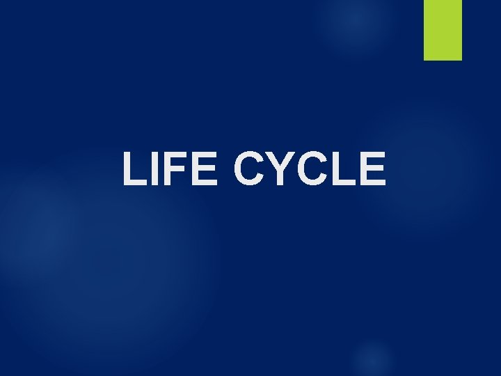LIFE CYCLE LIFE CYCLE