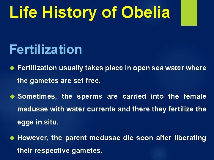 Life History of Obelia Fertilization usually takes place in open sea water where the Life History of Obelia Fertilization usually takes place in open sea water where the
