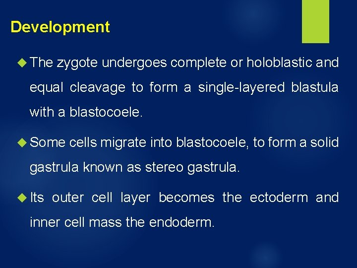 Development The zygote undergoes complete or holoblastic and equal cleavage to form a single-layered Development The zygote undergoes complete or holoblastic and equal cleavage to form a single-layered