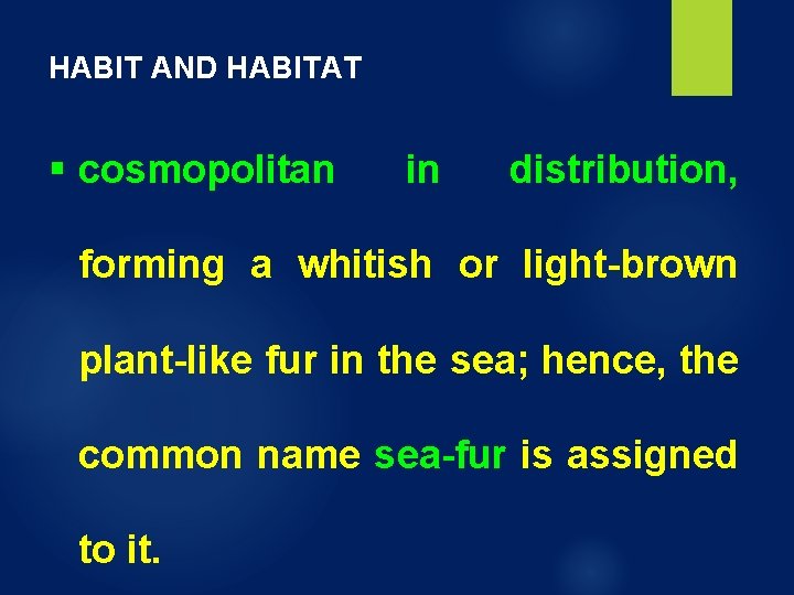 HABIT AND HABITAT § cosmopolitan in distribution, forming a whitish or light-brown plant-like fur HABIT AND HABITAT § cosmopolitan in distribution, forming a whitish or light-brown plant-like fur