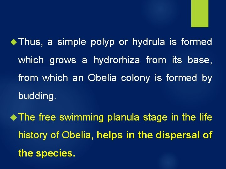 Thus, a simple polyp or hydrula is formed which grows a hydrorhiza from Thus, a simple polyp or hydrula is formed which grows a hydrorhiza from