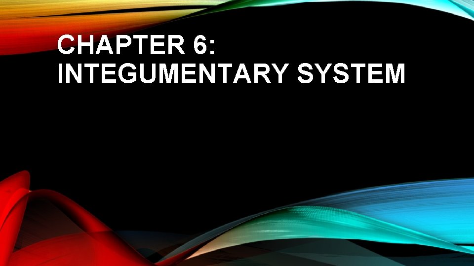 CHAPTER 6: INTEGUMENTARY SYSTEM 