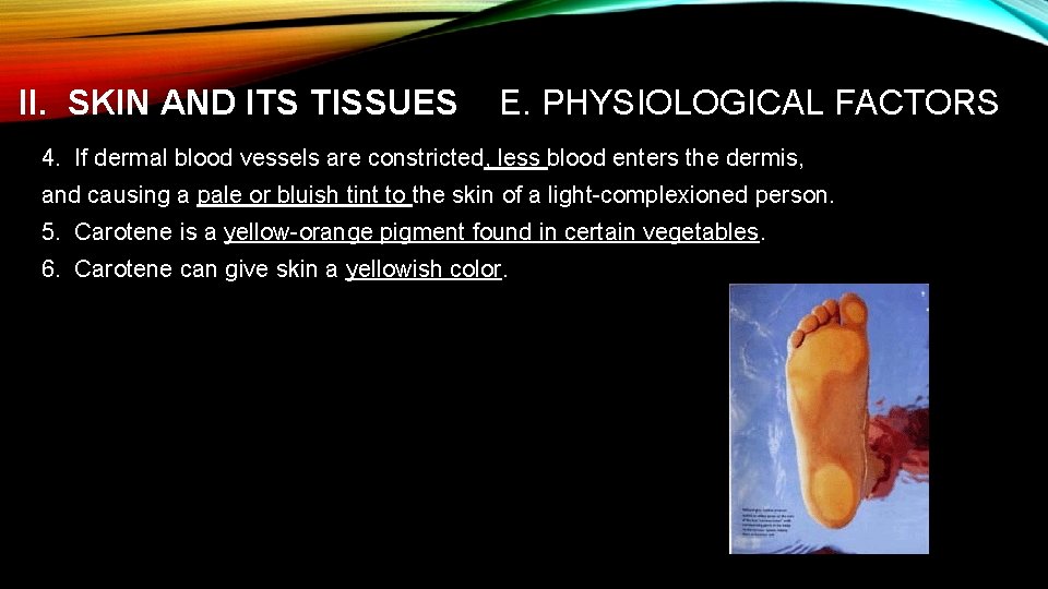 II. SKIN AND ITS TISSUES E. PHYSIOLOGICAL FACTORS 4. If dermal blood vessels are