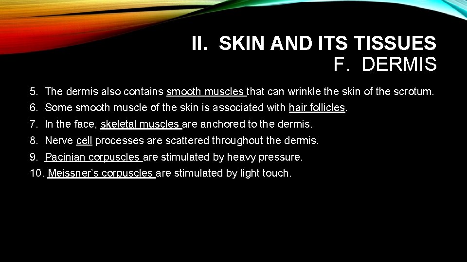 II. SKIN AND ITS TISSUES F. DERMIS 5. The dermis also contains smooth muscles