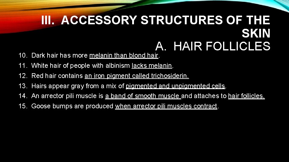 III. ACCESSORY STRUCTURES OF THE SKIN A. HAIR FOLLICLES 10. Dark hair has more