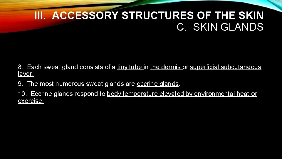 III. ACCESSORY STRUCTURES OF THE SKIN C. SKIN GLANDS 8. Each sweat gland consists