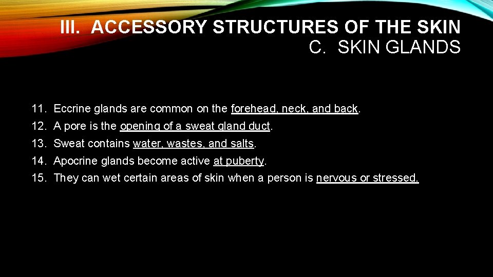 III. ACCESSORY STRUCTURES OF THE SKIN C. SKIN GLANDS 11. Eccrine glands are common