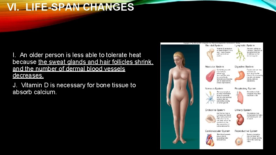 VI. LIFE-SPAN CHANGES I. An older person is less able to tolerate heat because