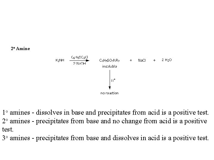 2 o Amine 1 o amines - dissolves in base and precipitates from acid