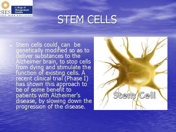  STEM CELLS Stem cells could, can be genetically modified so as to deliver
