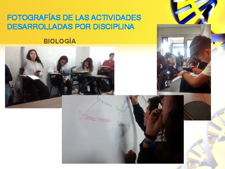 FOTOGRAFÍAS DE LAS ACTIVIDADES DESARROLLADAS POR DISCIPLINA BIOLOGÍA 