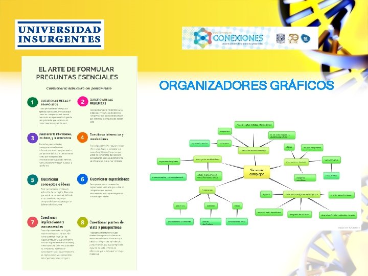 ORGANIZADORES GRÁFICOS 