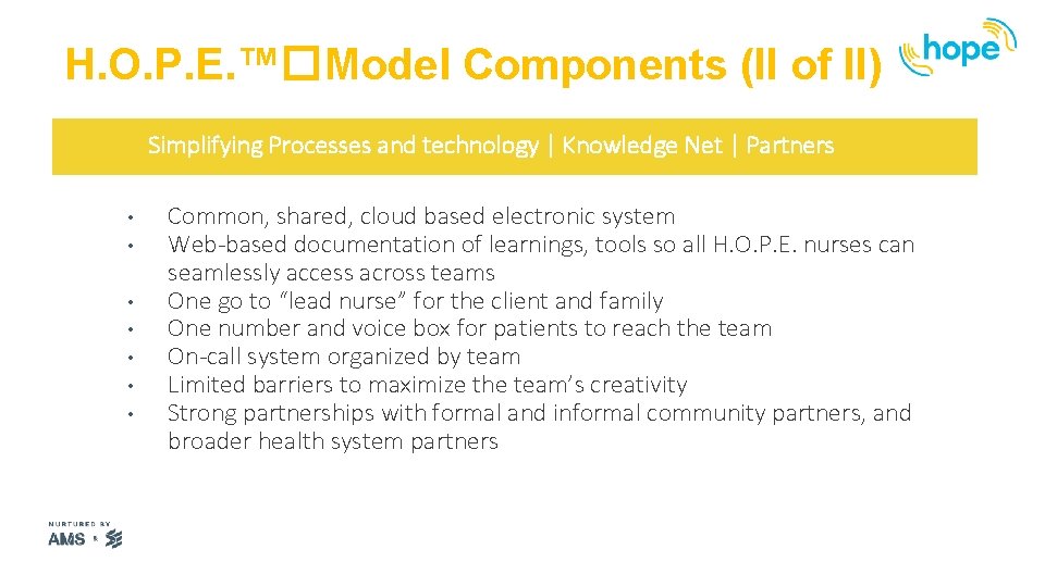 H. O. P. E. ™�Model Components (II of II) Simplifying Processes and technology |