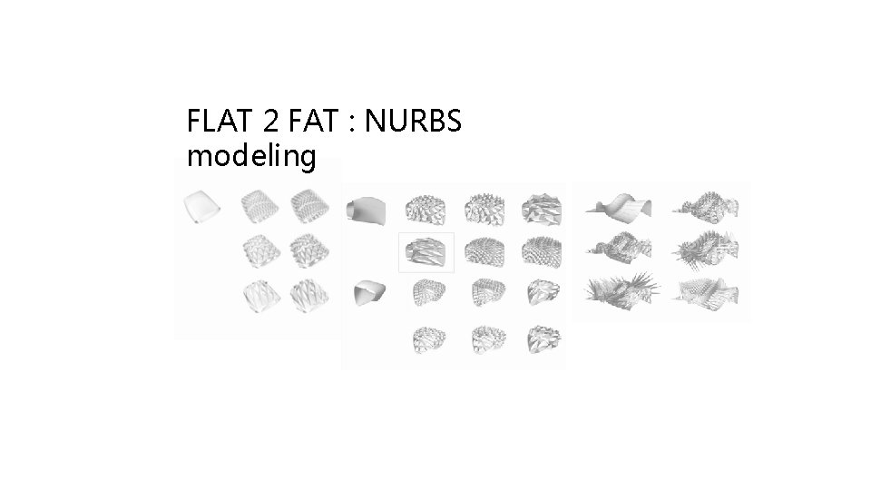 FLAT 2 FAT : NURBS modeling 